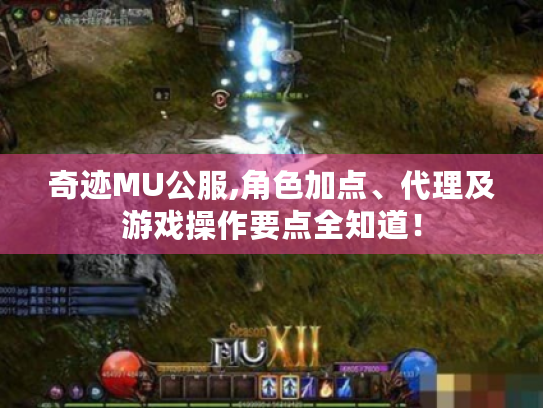 奇迹MU公服,角色加点、代理及游戏操作要点全知道! 奇迹MU公服,角色加点、代理及游戏操作要点全知道!