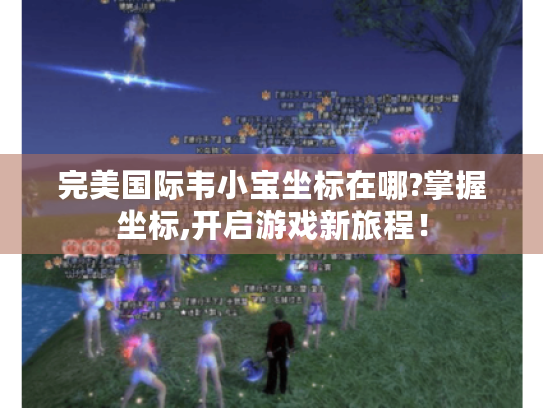 完美国际韦小宝坐标在哪?掌握坐标,开启游戏新旅程! 完美国际韦小宝坐标在哪?掌握坐标,开启游戏新旅程!