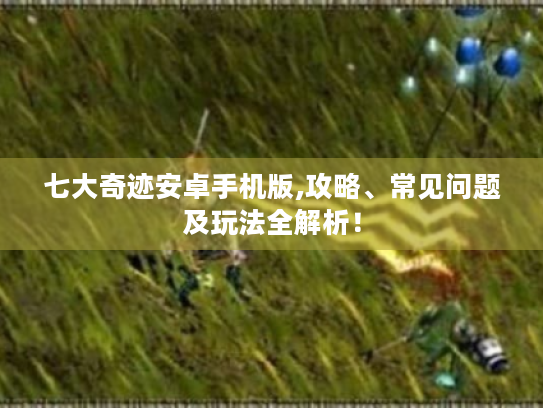 七大奇迹安卓手机版,攻略、常见问题及玩法全解析! 七大奇迹安卓手机版,攻略、常见问题及玩法全解析!