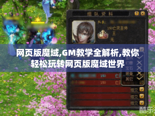 网页版魔域,GM教学全解析,教你轻松玩转网页版魔域世界 网页版魔域,GM教学全解析,教你轻松玩转网页版魔域世界