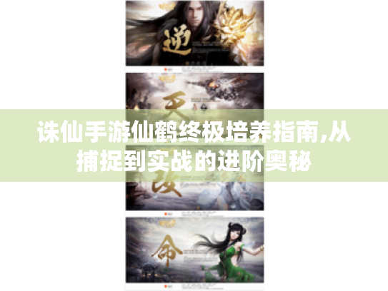 诛仙手游仙鹤终极培养指南,从捕捉到实战的进阶奥秘 诛仙手游仙鹤终极培养指南,从捕捉到实战的进阶奥秘