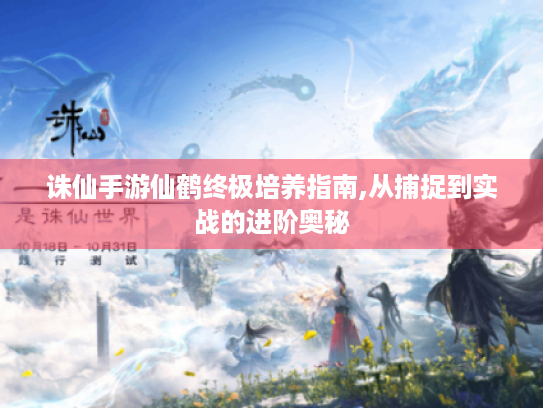 诛仙手游仙鹤终极培养指南,从捕捉到实战的进阶奥秘 诛仙手游仙鹤终极培养指南,从捕捉到实战的进阶奥秘
