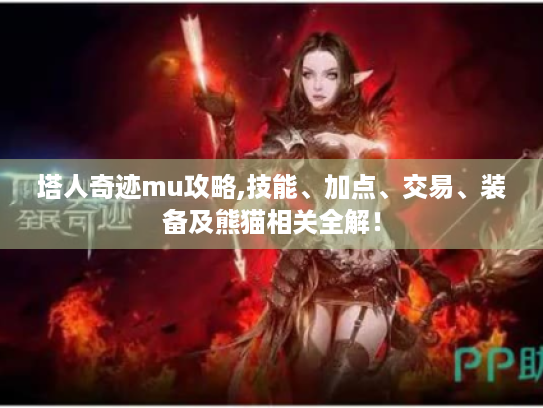 塔人奇迹mu攻略,技能、加点、交易、装备及熊猫相关全解！