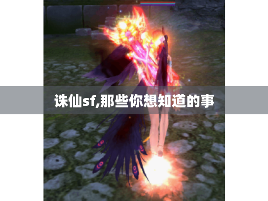 诛仙sf,那些你想知道的事 诛仙sf,那些你想知道的事