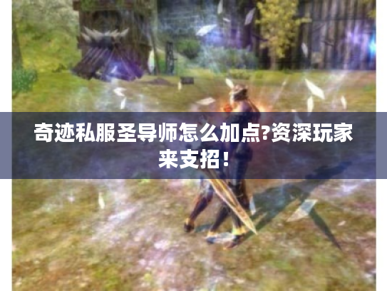 奇迹私服圣导师怎么加点?资深玩家来支招! 奇迹私服圣导师怎么加点?资深玩家来支招!