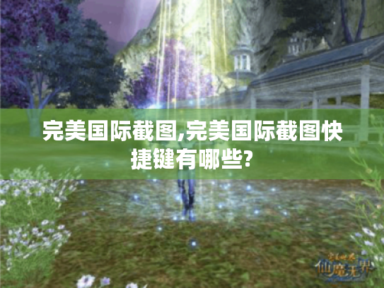 完美国际截图,完美国际截图快捷键有哪些? 完美国际截图,完美国际截图快捷键有哪些?