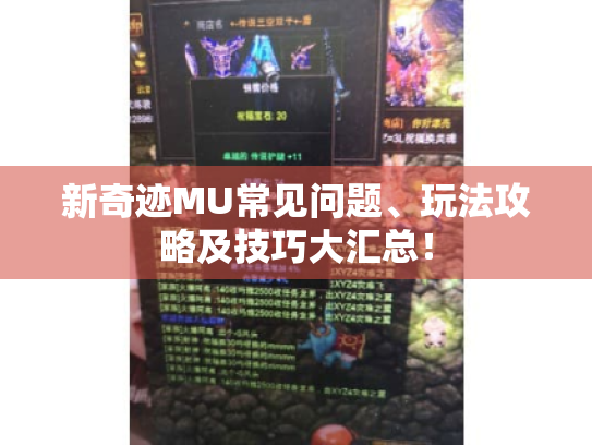 新奇迹MU常见问题、玩法攻略及技巧大汇总! 新奇迹MU常见问题、玩法攻略及技巧大汇总!