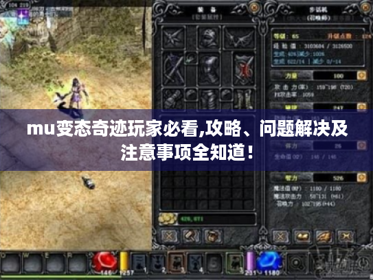 mu变态奇迹玩家必看,攻略、问题解决及注意事项全知道! mu变态奇迹玩家必看,攻略、问题解决及注意事项全知道!