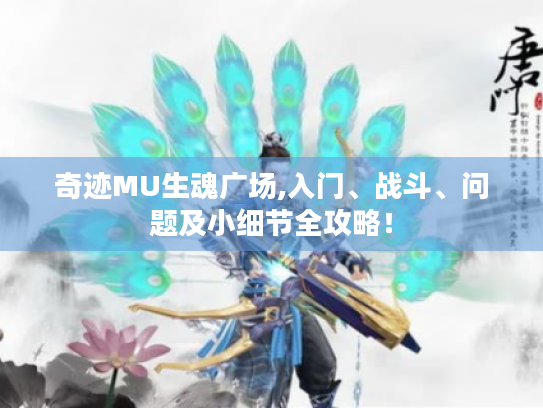 奇迹MU生魂广场,入门、战斗、问题及小细节全攻略! 奇迹MU生魂广场,入门、战斗、问题及小细节全攻略!