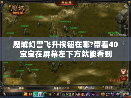 魔域幻兽飞升按钮在哪?带着40宝宝在屏幕左下方就能看到 魔域幻兽飞升按钮在哪?带着40宝宝在屏幕左下方就能看到