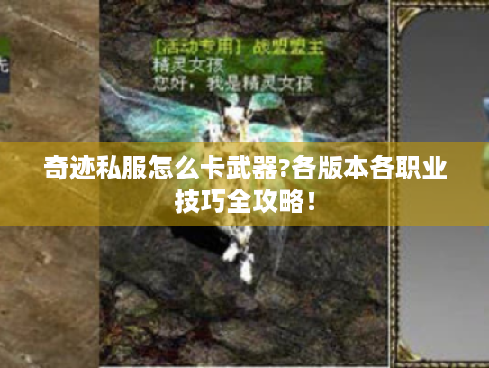 奇迹私服怎么卡武器?各版本各职业技巧全攻略! 奇迹私服怎么卡武器?各版本各职业技巧全攻略!