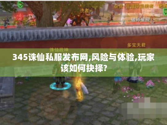 345诛仙私服发布网,风险与体验,玩家该如何抉择?