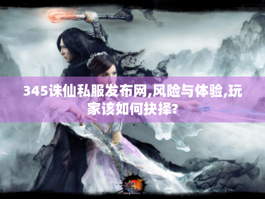 345诛仙私服发布网,风险与体验,玩家该如何抉择?