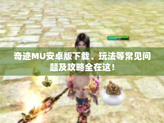 奇迹MU安卓版下载、玩法等常见问题及攻略全在这！