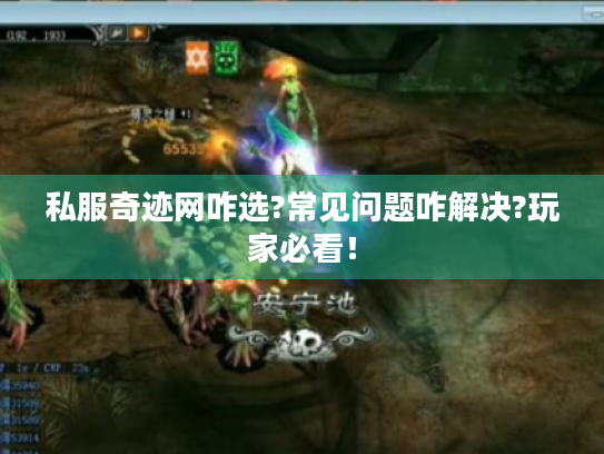 私服奇迹网咋选?常见问题咋解决?玩家必看! 私服奇迹网咋选?常见问题咋解决?玩家必看!