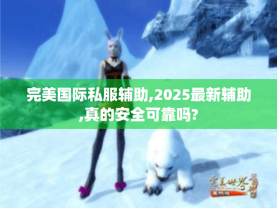 完美国际私服辅助,2025最新辅助,真的安全可靠吗? 完美国际私服辅助,2025最新辅助,真的安全可靠吗?