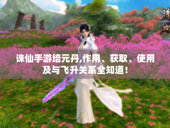 诛仙手游培元丹,作用、获取、使用及与飞升关系全知道! 诛仙手游培元丹,作用、获取、使用及与飞升关系全知道!