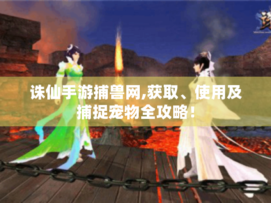 诛仙手游捕兽网,获取、使用及捕捉宠物全攻略! 诛仙手游捕兽网,获取、使用及捕捉宠物全攻略!