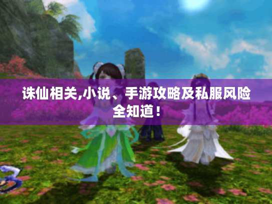 诛仙相关,小说、手游攻略及私服风险全知道！