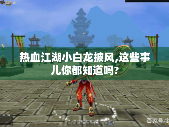 热血江湖小白龙披风,这些事儿你都知道吗? 热血江湖小白龙披风,这些事儿你都知道吗?