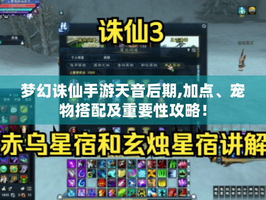 梦幻诛仙手游天音后期,加点、宠物搭配及重要性攻略！