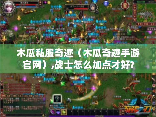 木瓜私服奇迹(木瓜奇迹手游官网),战士怎么加点才好? 木瓜私服奇迹(木瓜奇迹手游官网),战士怎么加点才好?