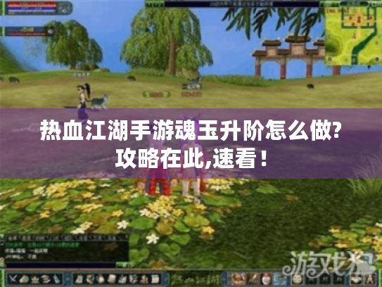 热血江湖手游魂玉升阶怎么做?攻略在此,速看! 热血江湖手游魂玉升阶怎么做?攻略在此,速看!