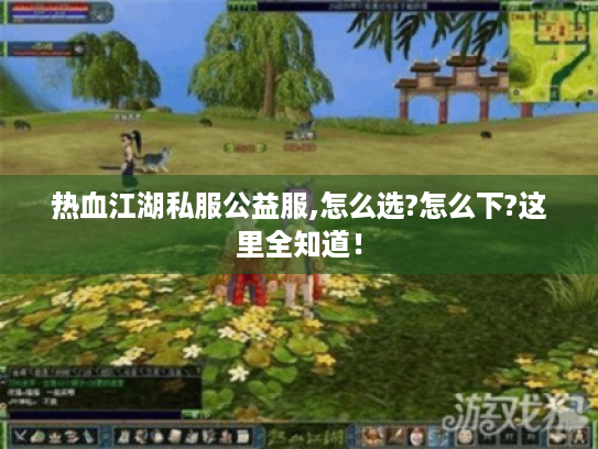 热血江湖私服公益服,怎么选?怎么下?这里全知道! 热血江湖私服公益服,怎么选?怎么下?这里全知道!