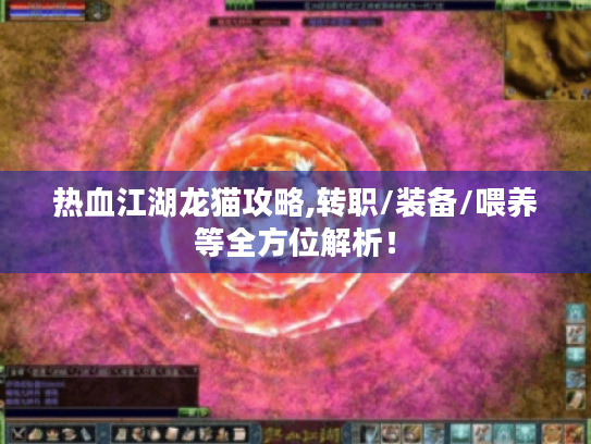 热血江湖龙猫攻略,转职/装备/喂养等全方位解析! 热血江湖龙猫攻略,转职/装备/喂养等全方位解析!