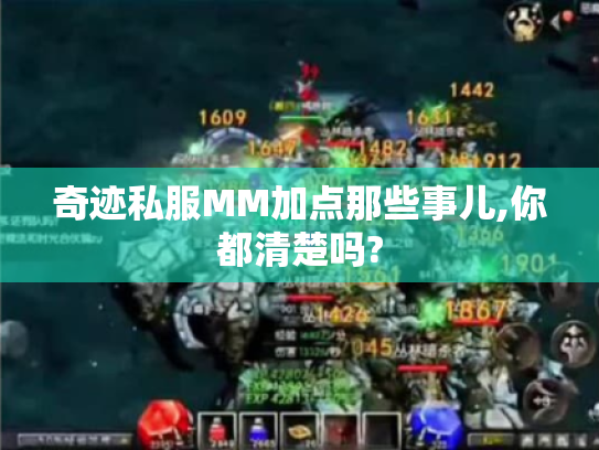 奇迹私服MM加点那些事儿,你都清楚吗? 奇迹私服MM加点那些事儿,你都清楚吗?