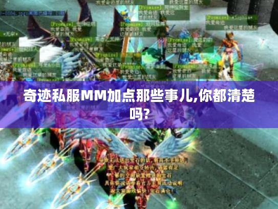 奇迹私服MM加点那些事儿,你都清楚吗? 奇迹私服MM加点那些事儿,你都清楚吗?
