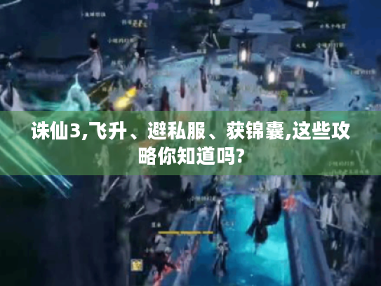 诛仙3,飞升、避私服、获锦囊,这些攻略你知道吗? 诛仙3,飞升、避私服、获锦囊,这些攻略你知道吗?