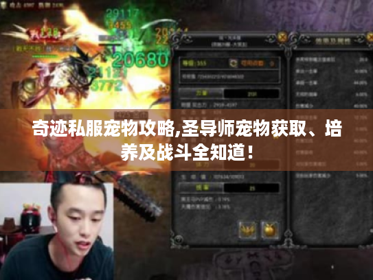 奇迹私服宠物攻略,圣导师宠物获取、培养及战斗全知道! 奇迹私服宠物攻略,圣导师宠物获取、培养及战斗全知道!