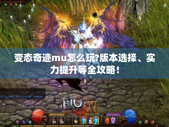 变态奇迹mu怎么玩?版本选择、实力提升等全攻略! 变态奇迹mu怎么玩?版本选择、实力提升等全攻略!