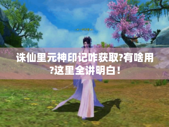 诛仙里元神印记咋获取?有啥用?这里全讲明白! 诛仙里元神印记咋获取?有啥用?这里全讲明白!