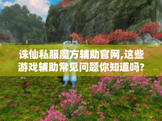 诛仙私服魔方辅助官网,这些游戏辅助常见问题你知道吗? 诛仙私服魔方辅助官网,这些游戏辅助常见问题你知道吗?