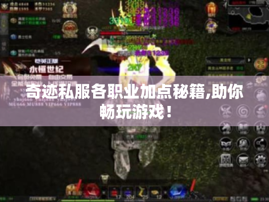奇迹私服各职业加点秘籍,助你畅玩游戏！