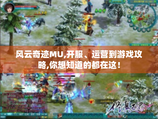 风云奇迹MU,开服、运营到游戏攻略,你想知道的都在这! 风云奇迹MU,开服、运营到游戏攻略,你想知道的都在这!