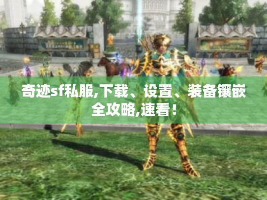 奇迹sf私服,下载、设置、装备镶嵌全攻略,速看! 奇迹sf私服,下载、设置、装备镶嵌全攻略,速看!