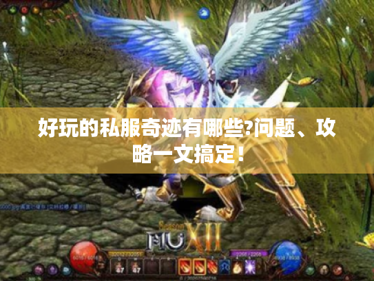 好玩的私服奇迹有哪些?问题、攻略一文搞定! 好玩的私服奇迹有哪些?问题、攻略一文搞定!