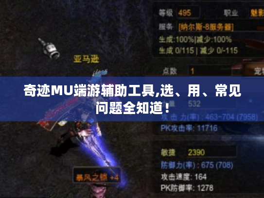 奇迹MU端游辅助工具,选、用、常见问题全知道! 奇迹MU端游辅助工具,选、用、常见问题全知道!