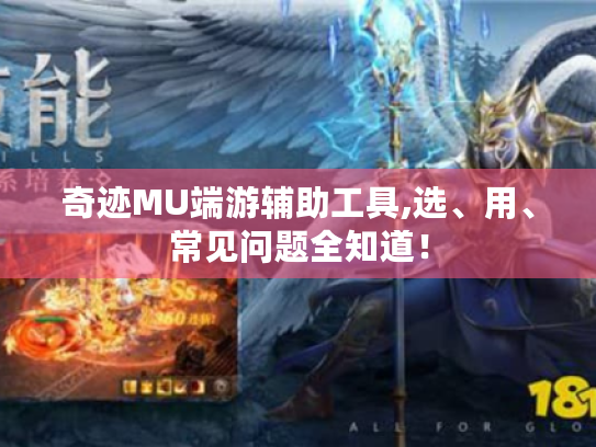 奇迹MU端游辅助工具,选、用、常见问题全知道! 奇迹MU端游辅助工具,选、用、常见问题全知道!