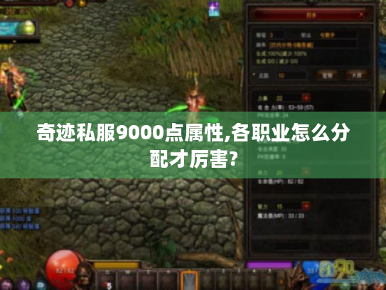 奇迹私服9000点属性,各职业怎么分配才厉害? 奇迹私服9000点属性,各职业怎么分配才厉害?