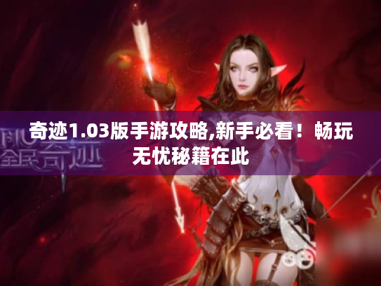 奇迹1.03版手游攻略,新手必看！畅玩无忧秘籍在此