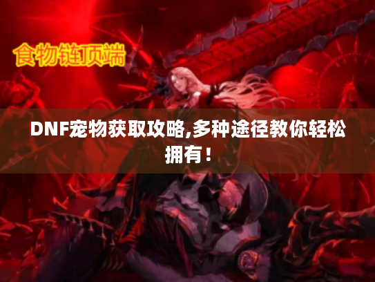 DNF宠物获取攻略,多种途径教你轻松拥有! DNF宠物获取攻略,多种途径教你轻松拥有!