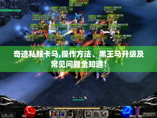 奇迹私服卡马,操作方法、黑王马升级及常见问题全知道! 奇迹私服卡马,操作方法、黑王马升级及常见问题全知道!