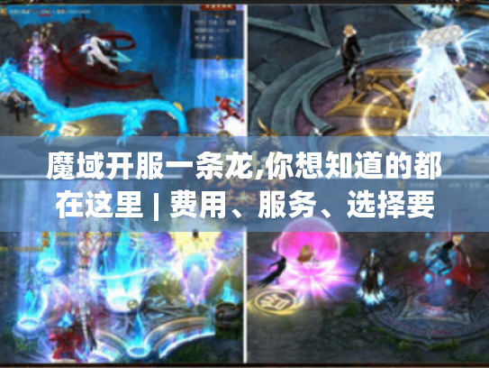魔域开服一条龙,你想知道的都在这里 | 费用、服务、选择要点全揭秘 魔域开服一条龙,你想知道的都在这里 | 费用、服务、选择要点全揭秘
