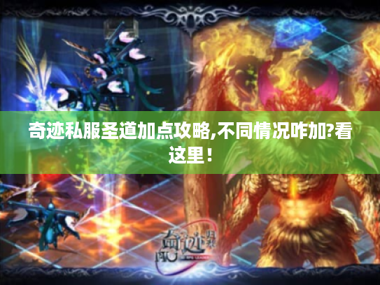 奇迹私服圣道加点攻略,不同情况咋加?看这里！