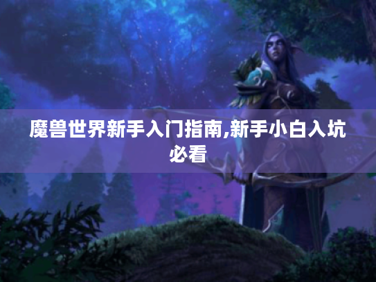 魔兽世界新手入门指南,新手小白入坑必看