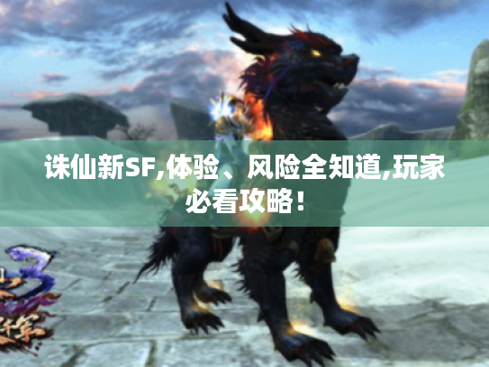 诛仙新SF,体验、风险全知道,玩家必看攻略! 诛仙新SF,体验、风险全知道,玩家必看攻略!